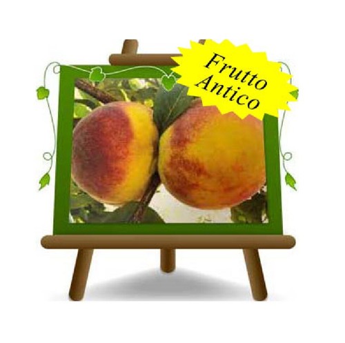Pesche polpa gialla trionfo - a,