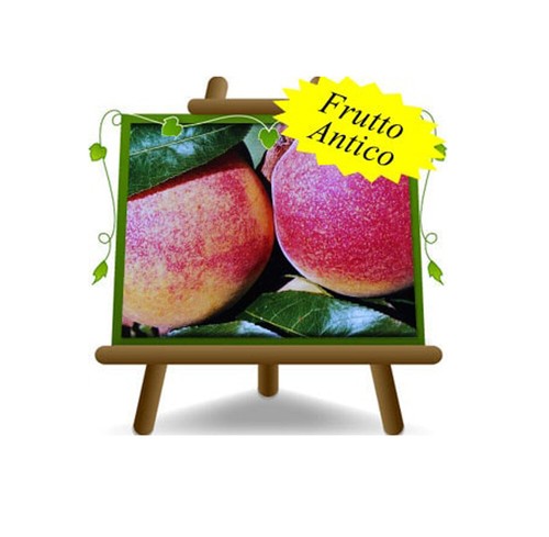 Pesche polpa gialla - pesche,