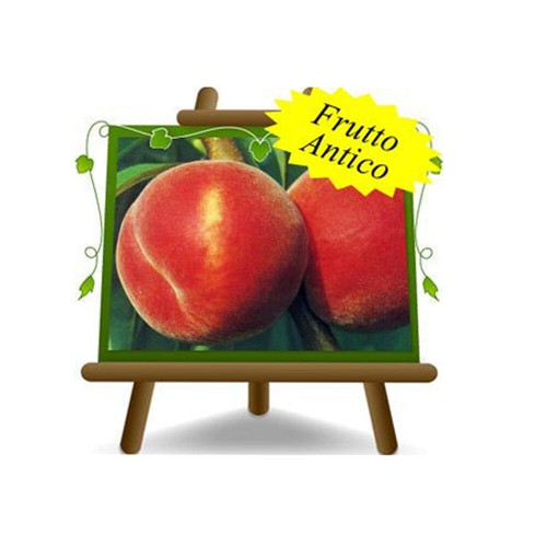 Pesche polpa gialla - a,