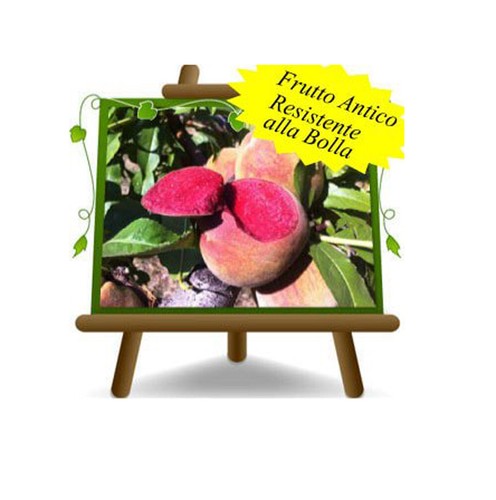 Pesche polpa rossa - pesche, a