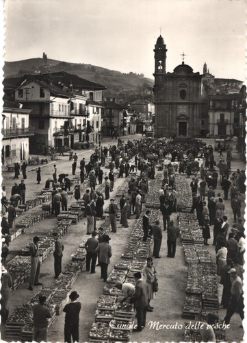 Cuneo canale mercato delle - cuneo,