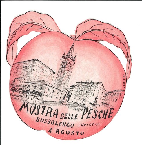 Adesivo mostra delle pesche - mostra,