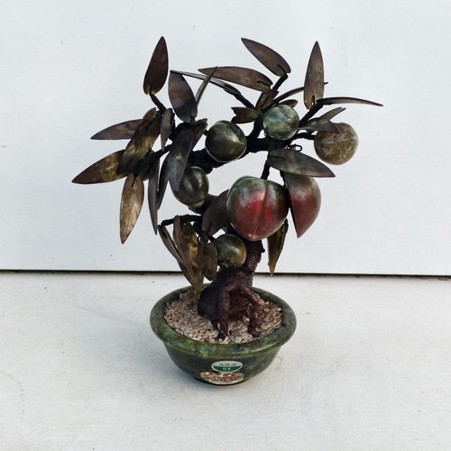 Bonsai cinese giada e - bonsai,