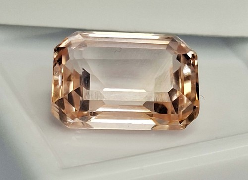 Pesca morganite taglio - pesca,