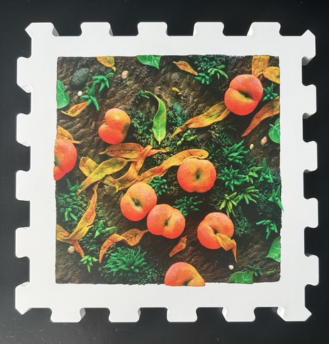 Piero gilardi serigrafia - serigrafia, a