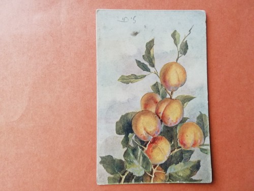 Cartolina pesche - pesche, h