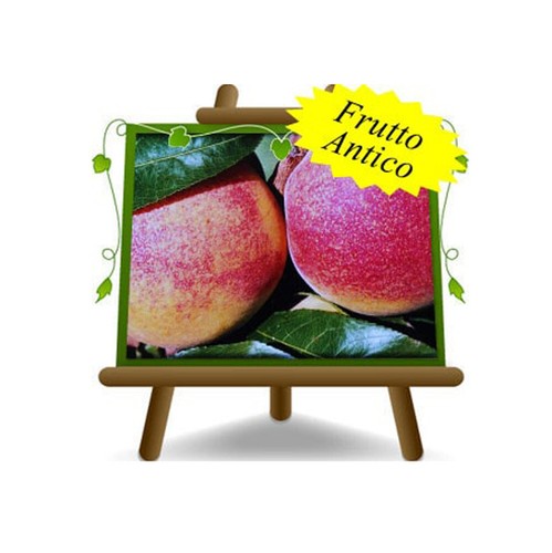 Pesche polpa gialla fairtime - pesche,
