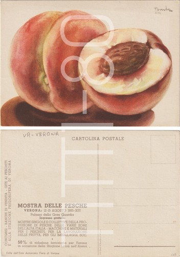 Verona mostra delle pesche - mostra,