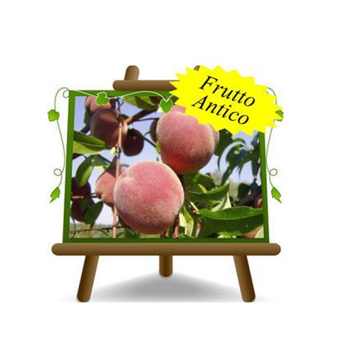 Pesche polpa gialla - pesche, a