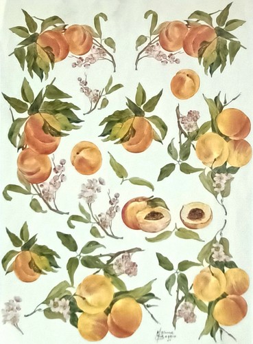 Carta decoupage formato - da,
