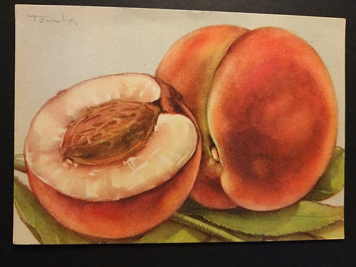 Verona mostra delle - mostra,