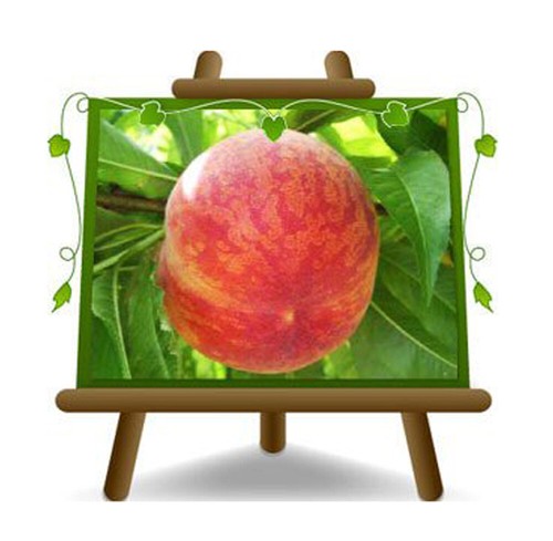 Pesche polpa gialla - pesche,